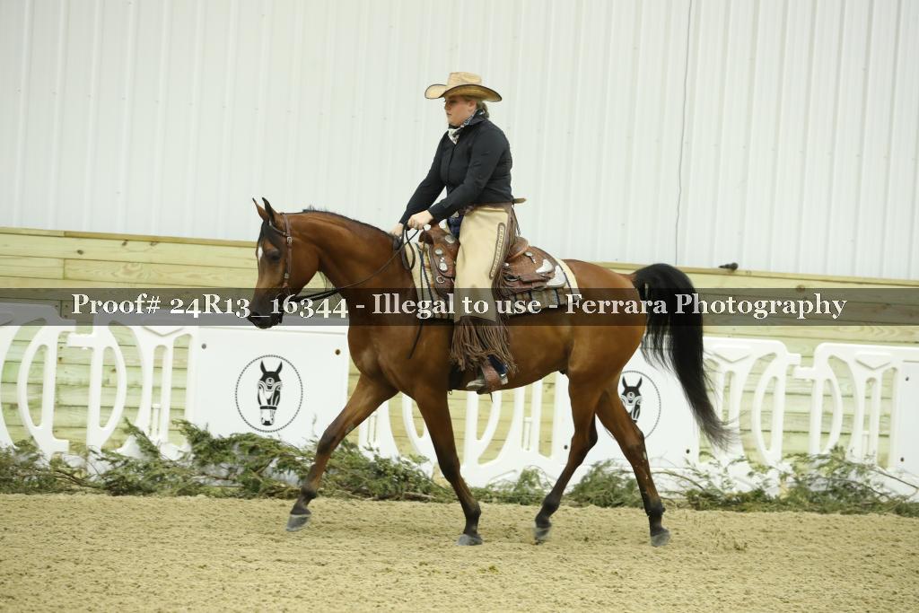 Proof 24R13_16344