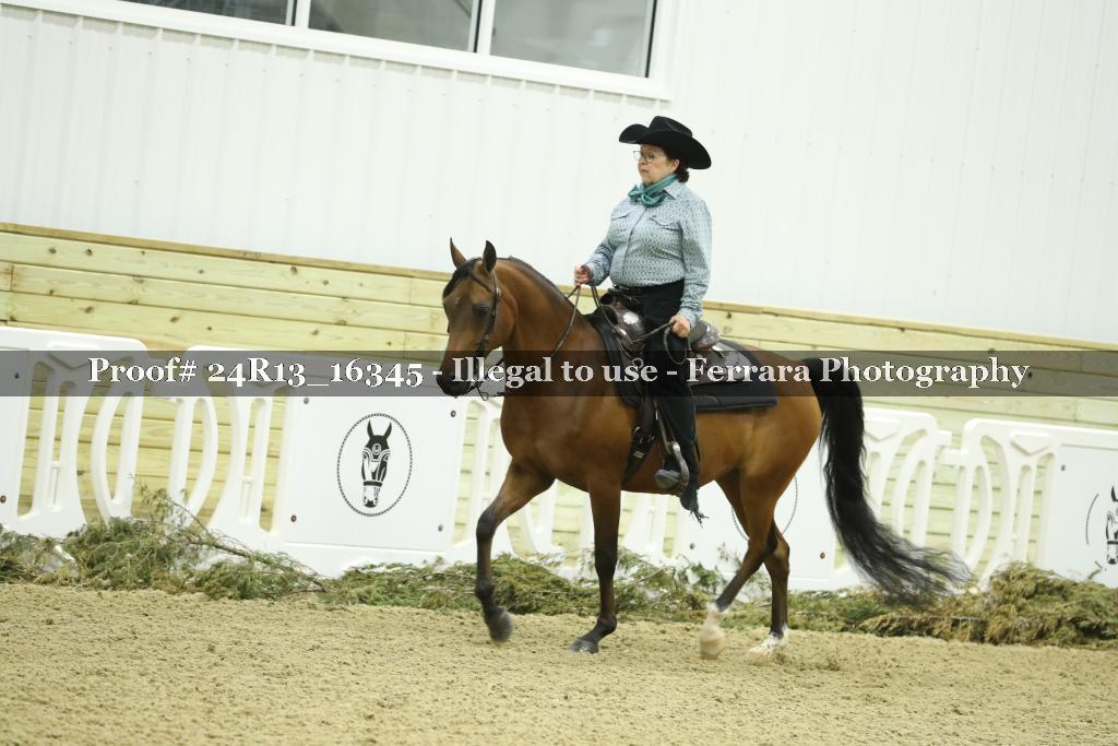 Proof 24R13_16345