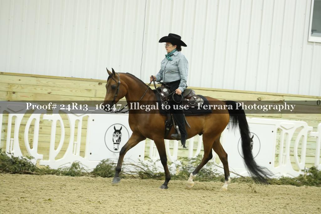 Proof 24R13_16347