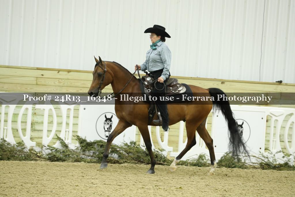 Proof 24R13_16348