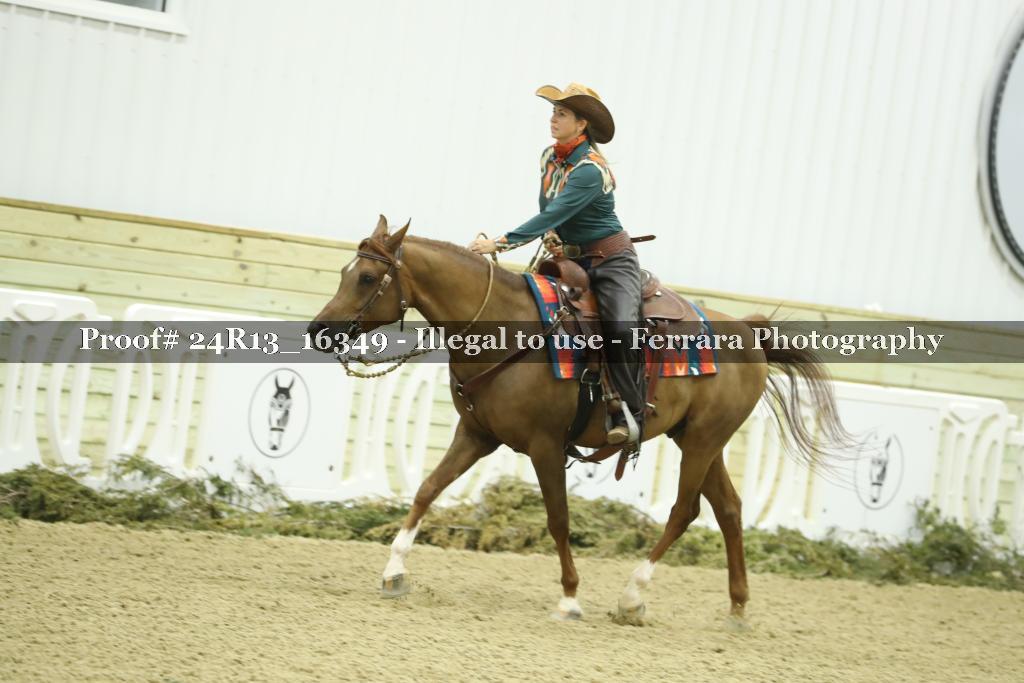 Proof 24R13_16349