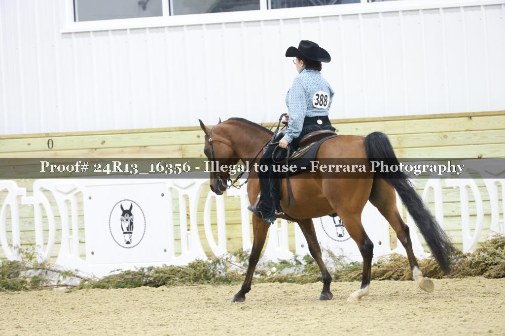 Proof 24R13_16356