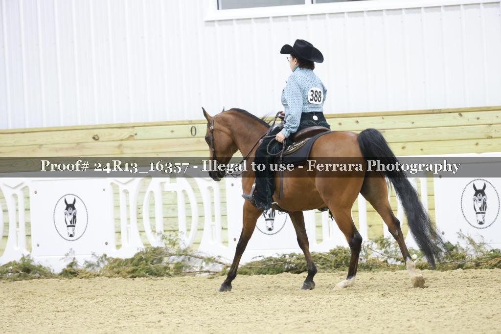 Proof 24R13_16357