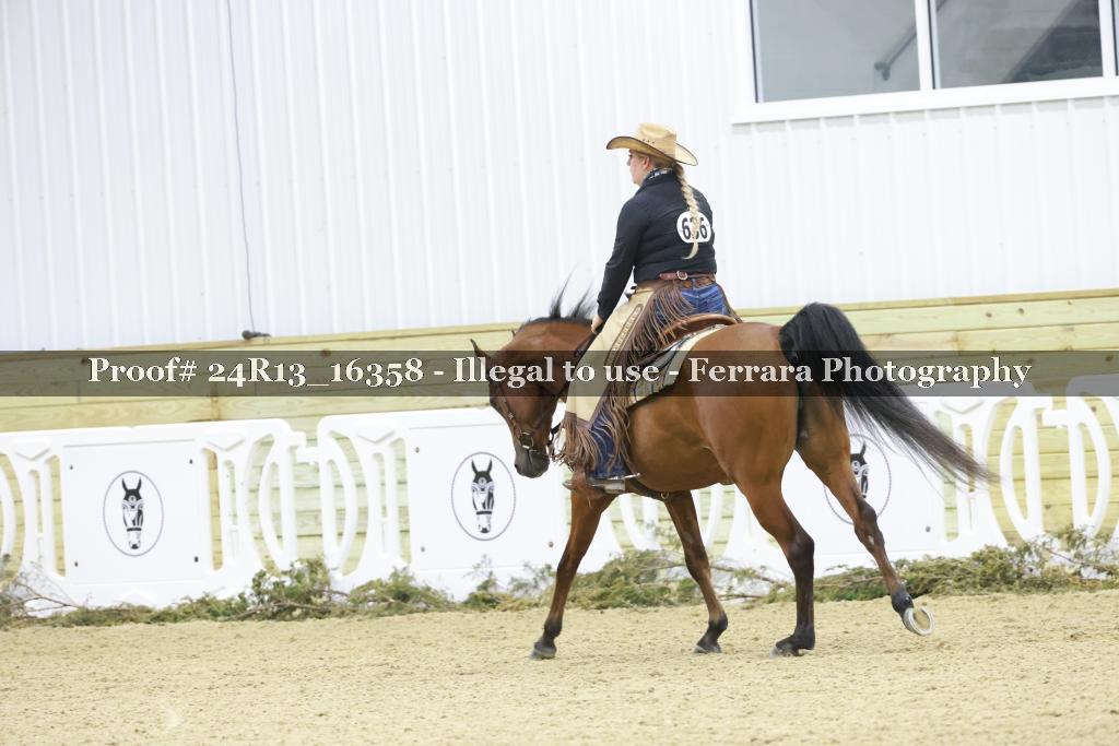 Proof 24R13_16358