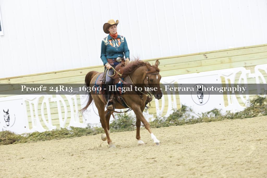 Proof 24R13_16360