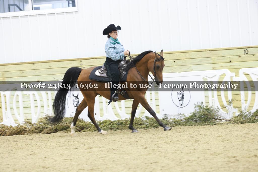 Proof 24R13_16362