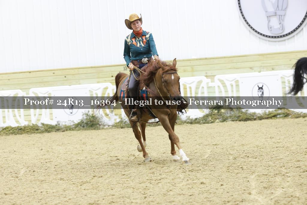Proof 24R13_16364