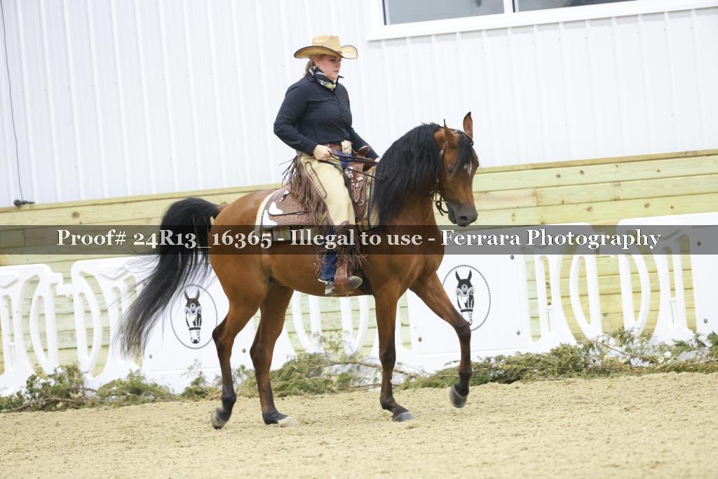 Proof 24R13_16365
