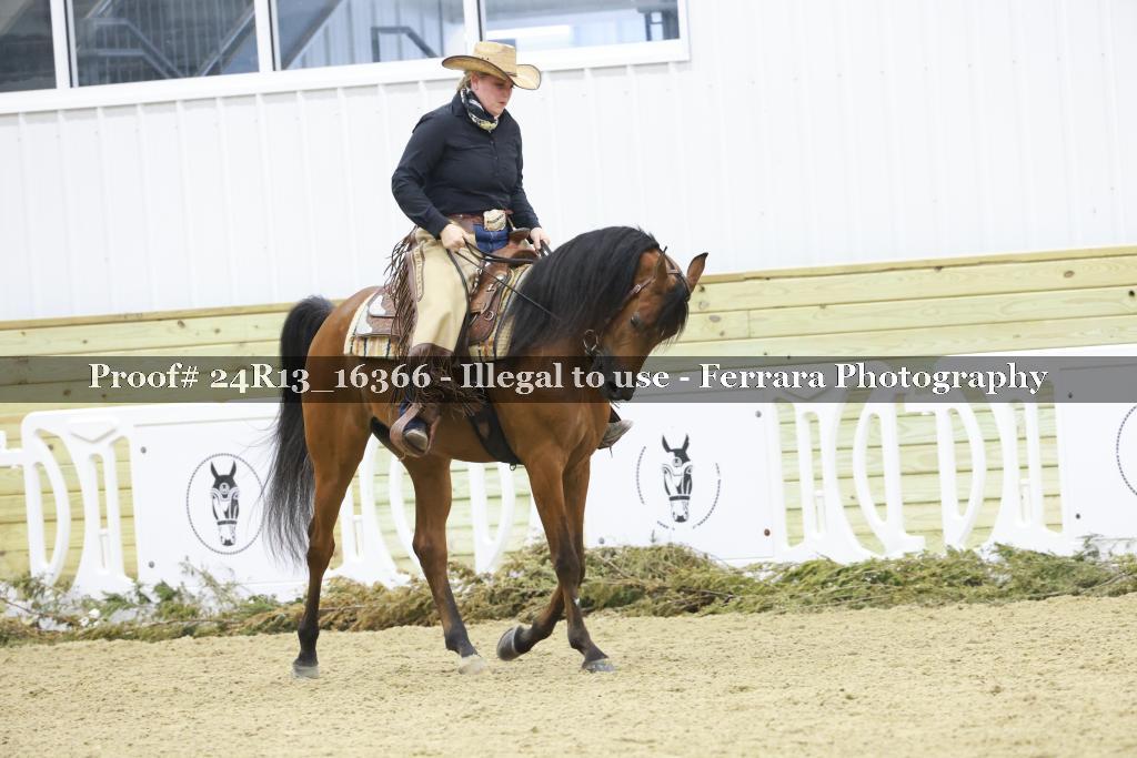 Proof 24R13_16366