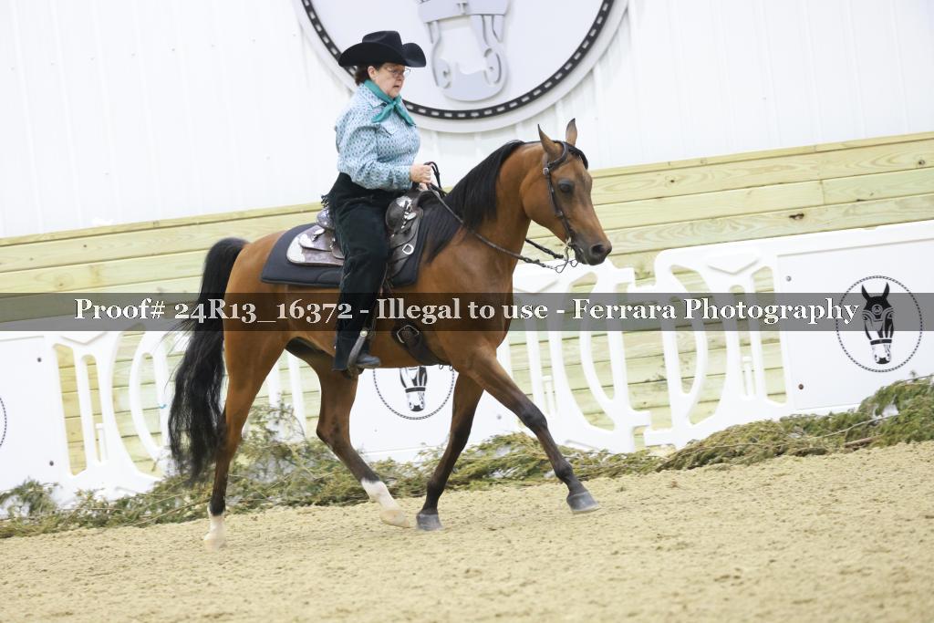 Proof 24R13_16372