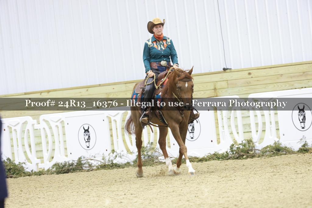 Proof 24R13_16376