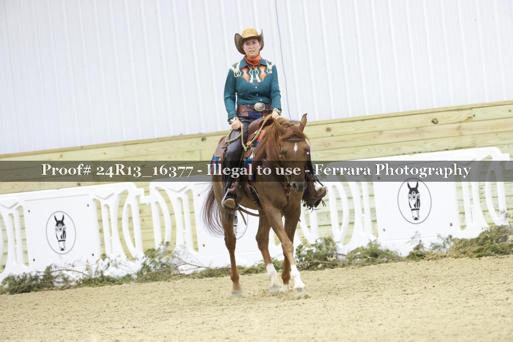 Proof 24R13_16377