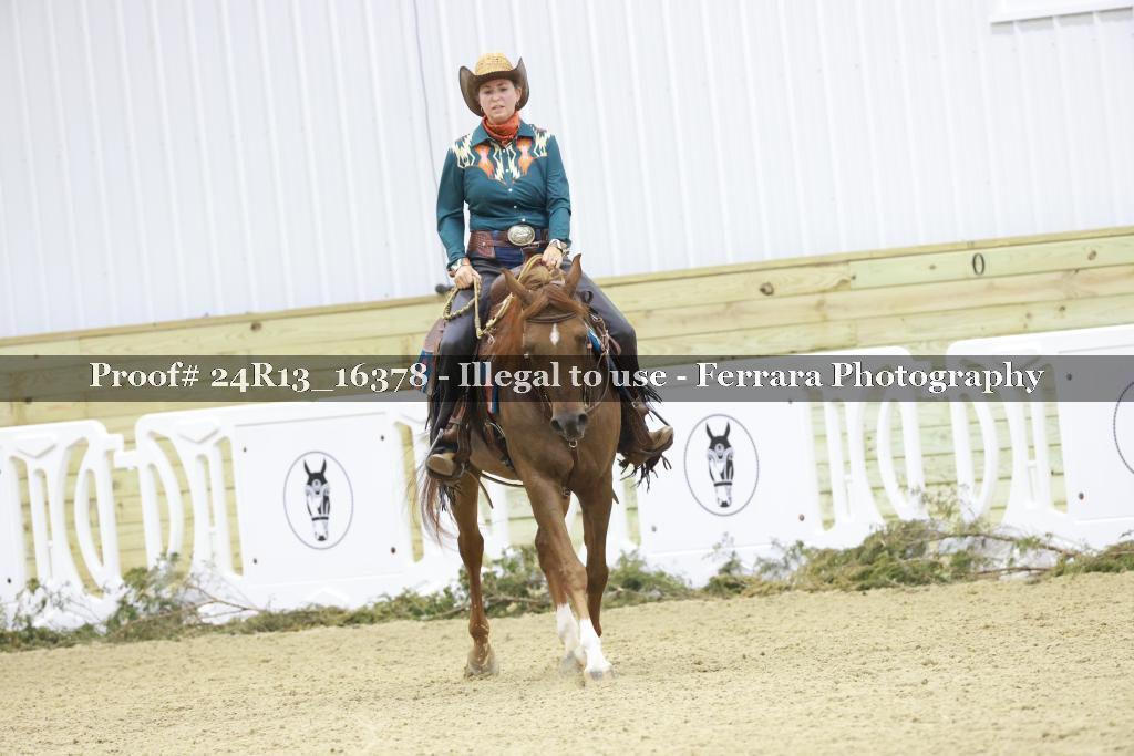 Proof 24R13_16378