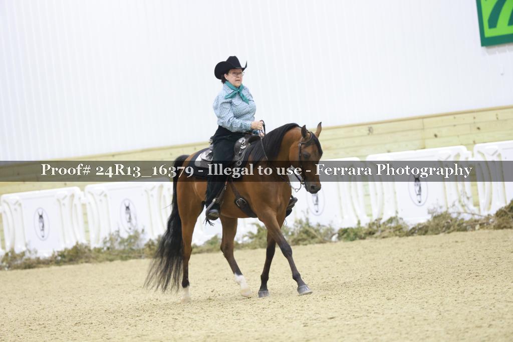 Proof 24R13_16379