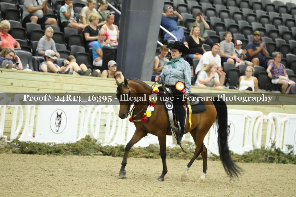 Proof 24R13_16395