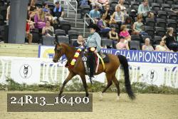 24R13_16400 proof