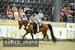 24R13_16402 proof