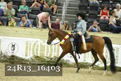 24R13_16403 proof