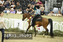 24R13_16405 proof