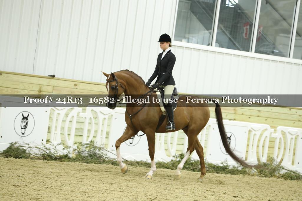 Proof 24R13_16582