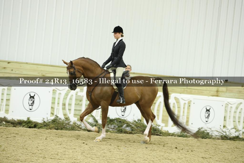 Proof 24R13_16583