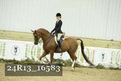 24R13_16583 proof