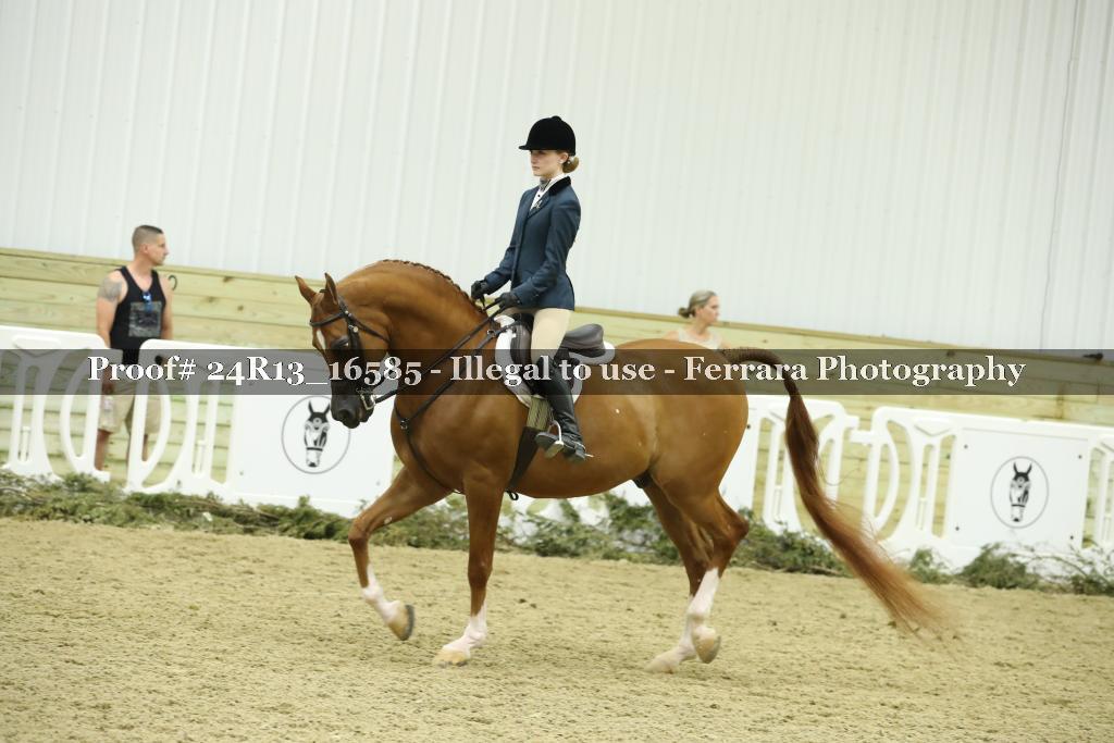Proof 24R13_16585