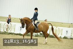 24R13_16585 proof