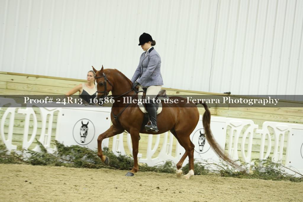Proof 24R13_16586