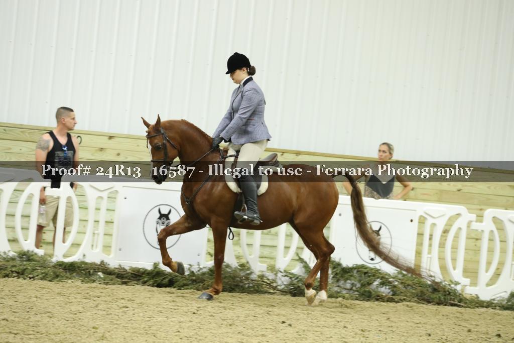Proof 24R13_16587