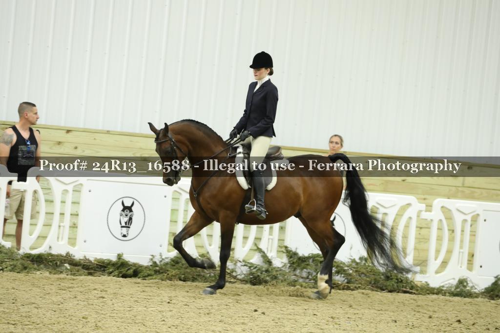 Proof 24R13_16588