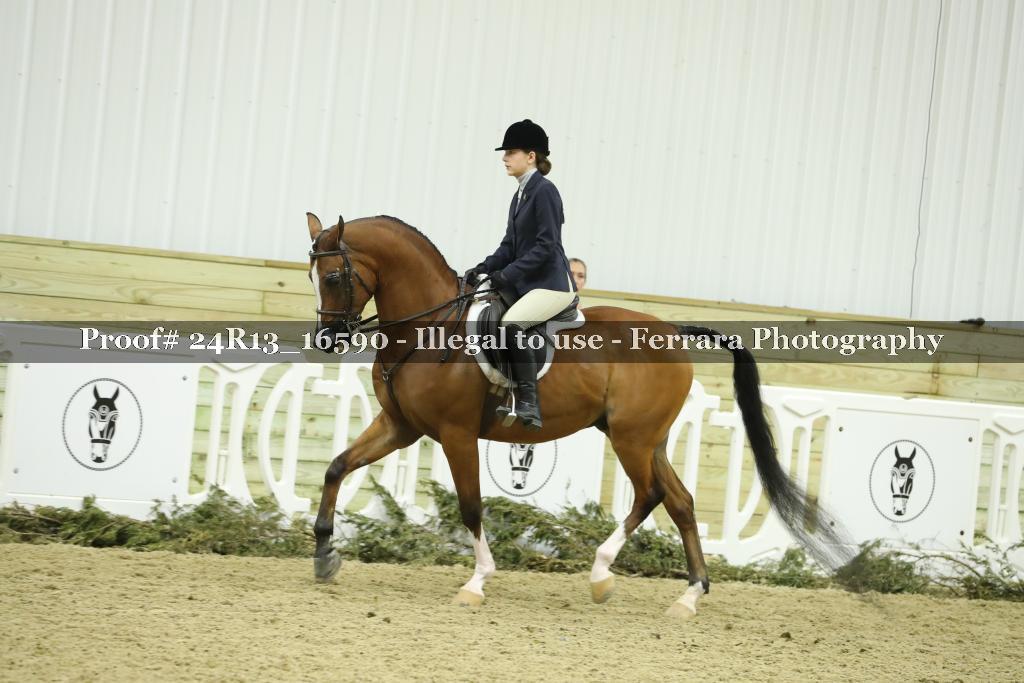 Proof 24R13_16590
