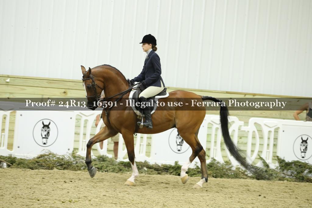 Proof 24R13_16591
