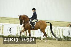 24R13_16591 proof