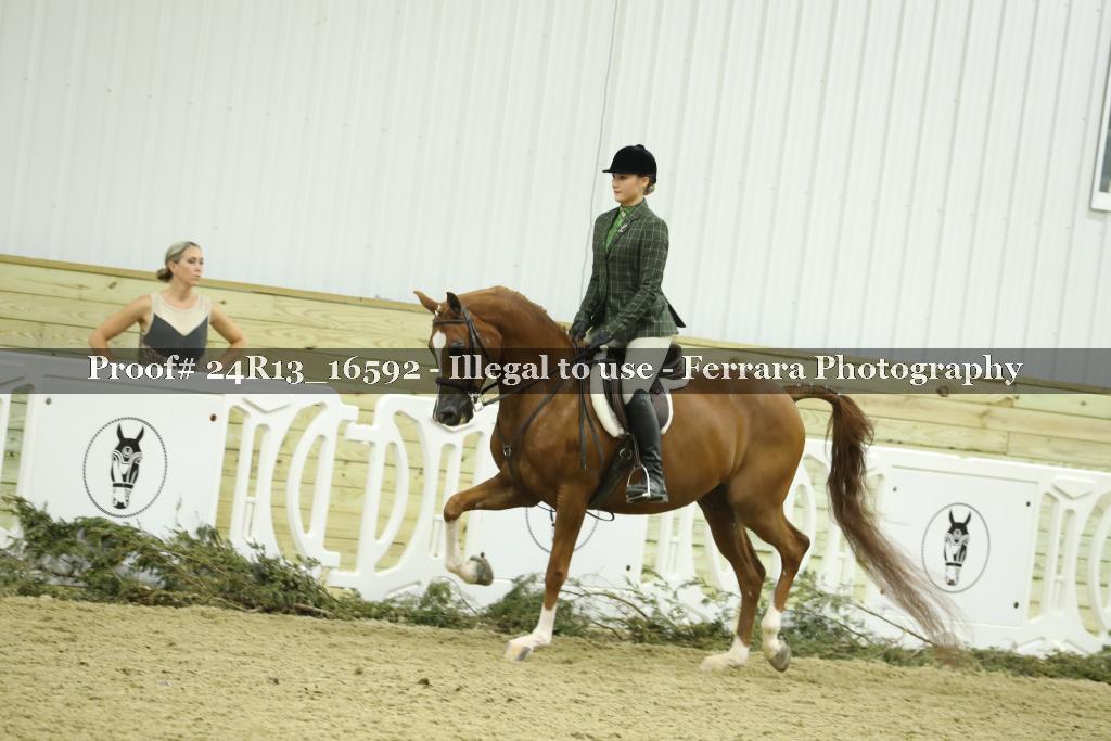 Proof 24R13_16592