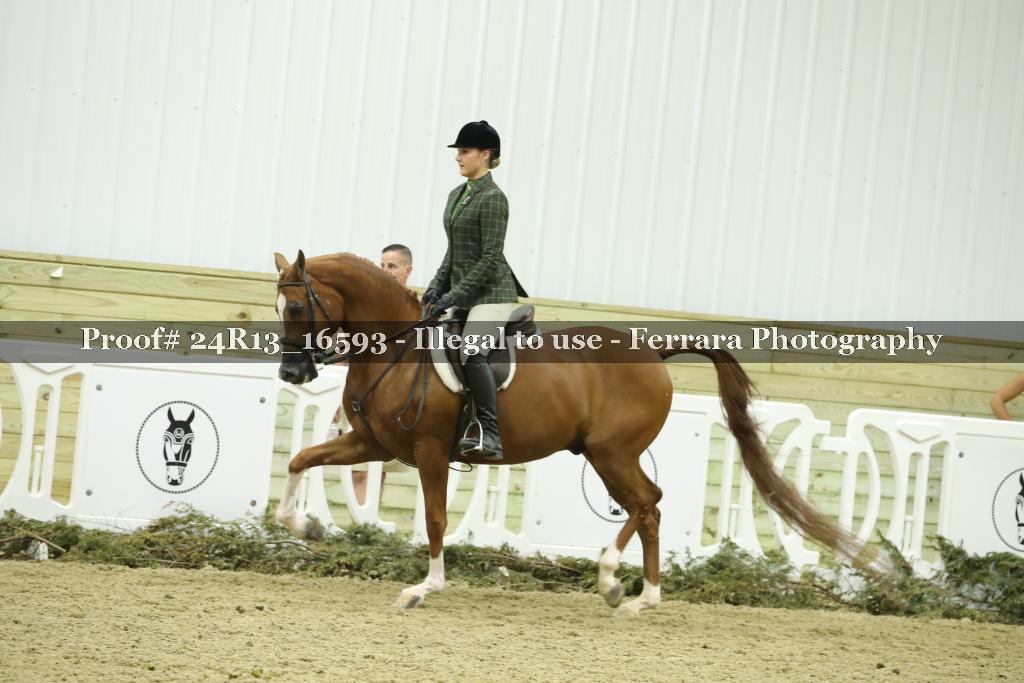 Proof 24R13_16593