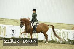 24R13_16593 proof
