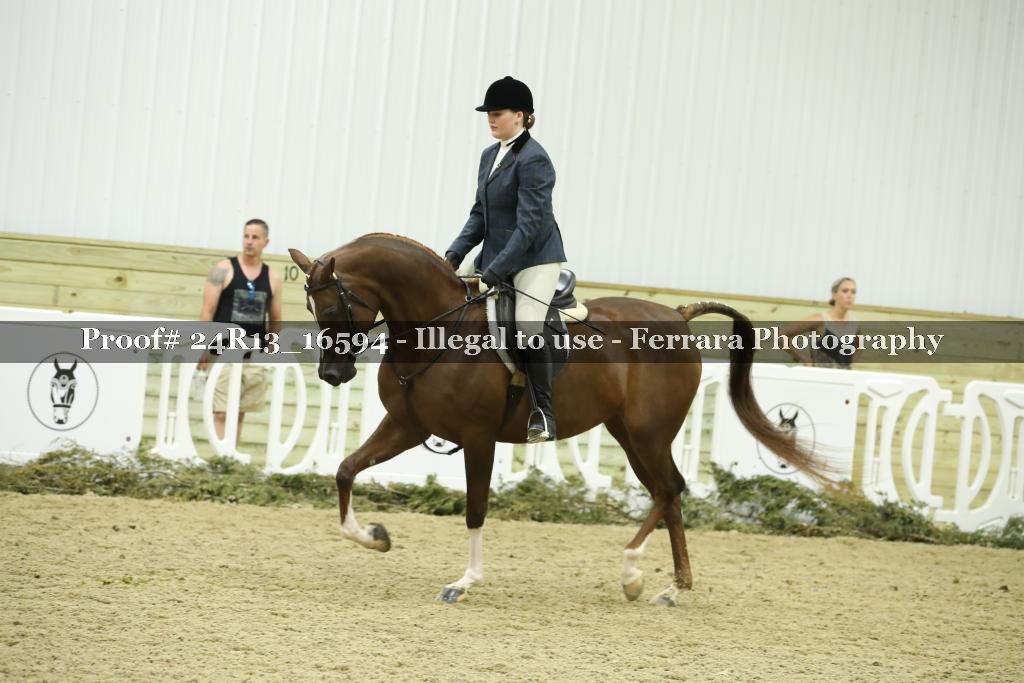 Proof 24R13_16594
