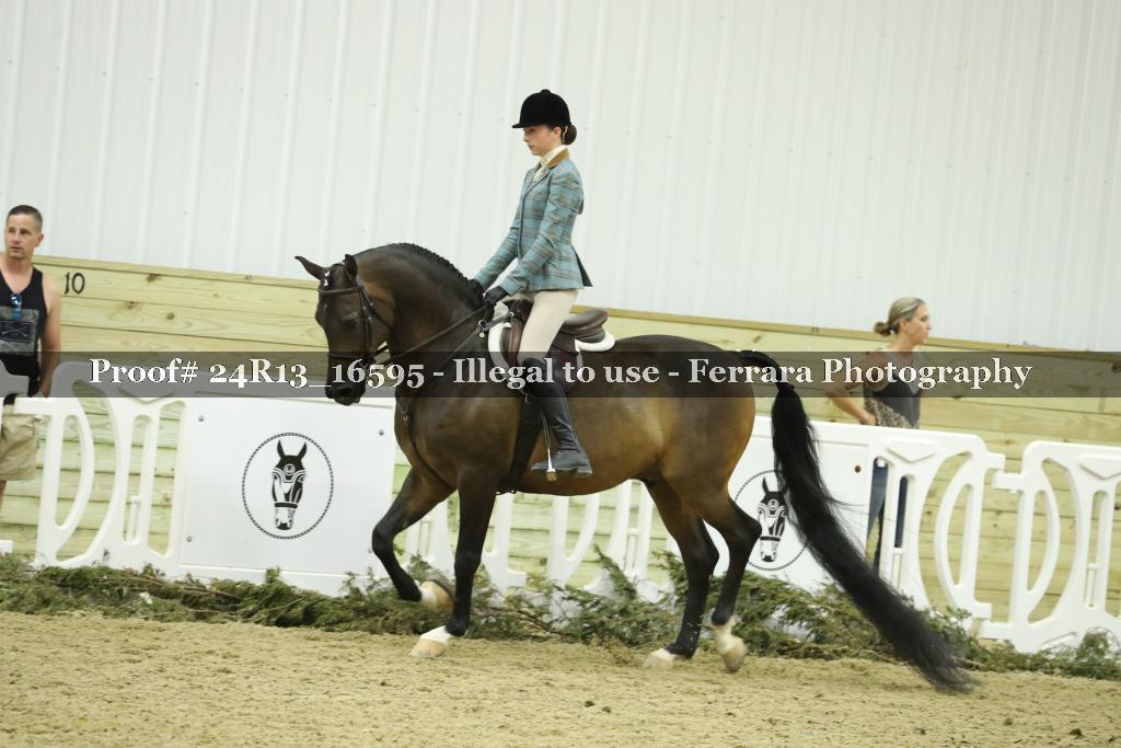 Proof 24R13_16595