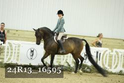 24R13_16595 proof
