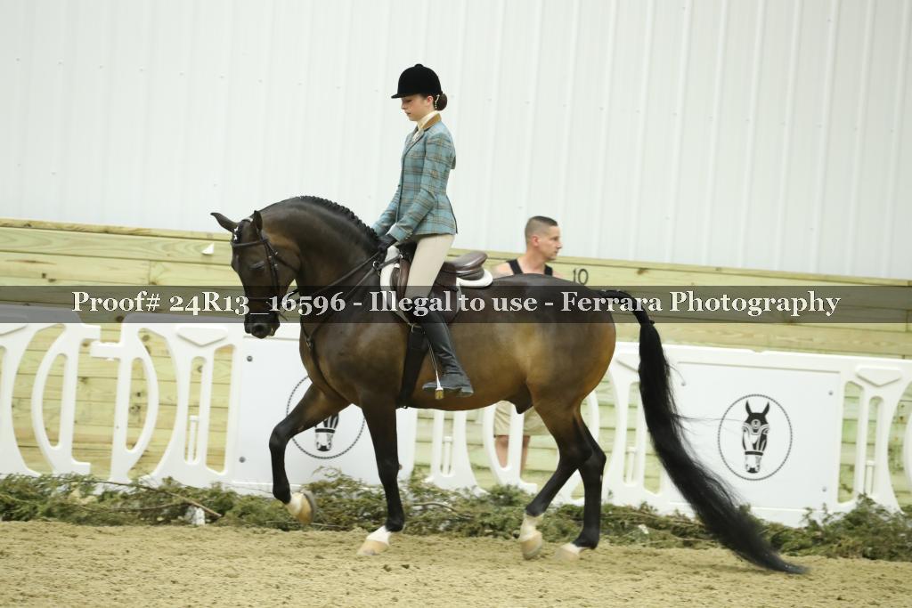 Proof 24R13_16596