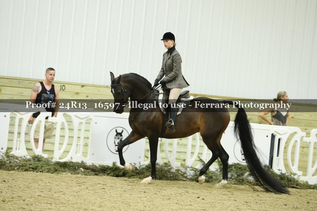 Proof 24R13_16597