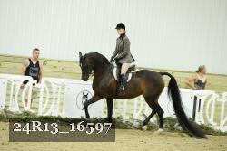24R13_16597 proof