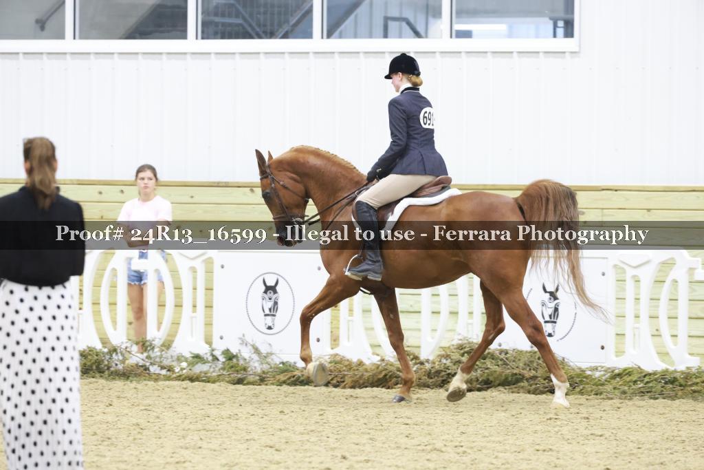 Proof 24R13_16599