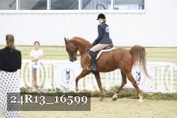 24R13_16599 proof