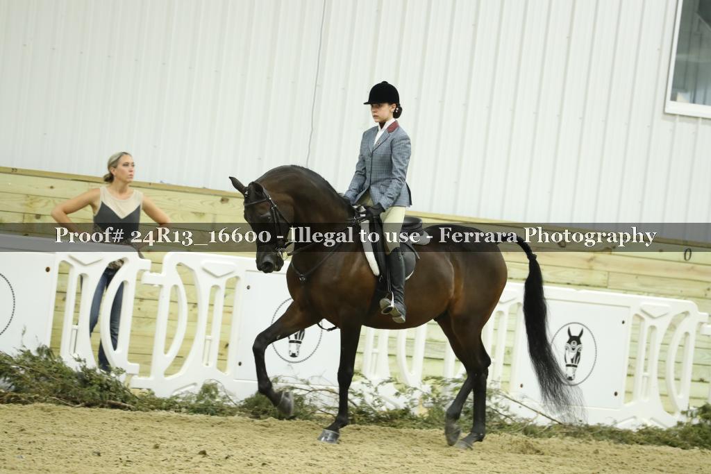 Proof 24R13_16600