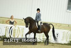 24R13_16600 proof