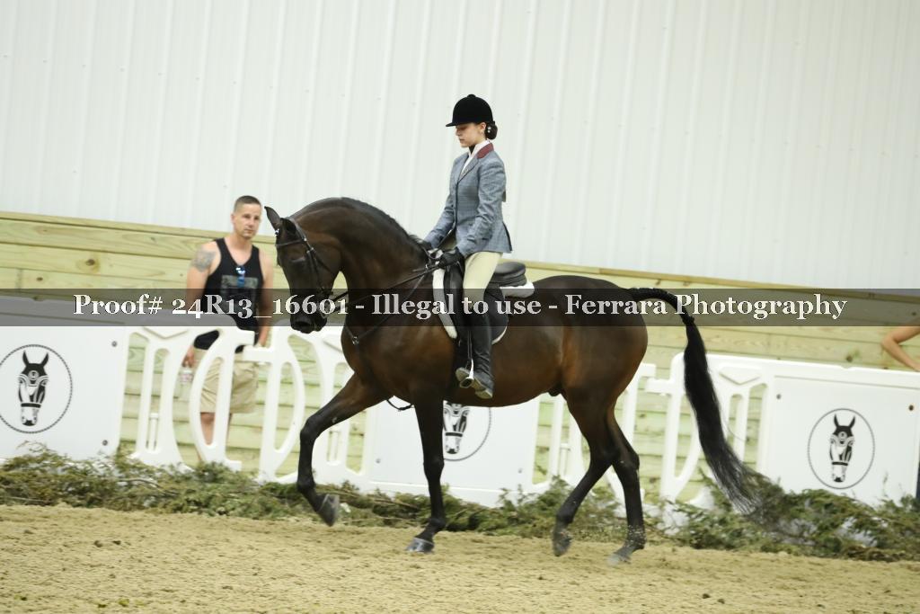 Proof 24R13_16601