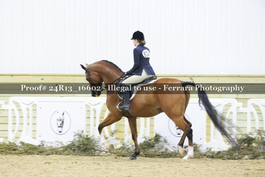 Proof 24R13_16602