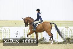 24R13_16602 proof